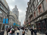 IMG_8540.jpeg IMG_8540.jpeg