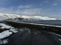 IMG_6116.JPEG IMG_6116.JPEG