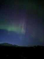 IMG_6177.JPEG IMG_6177.JPEG