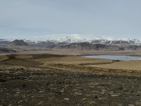 IMG_6308.JPEG IMG_6308.JPEG