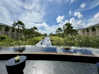 IMG_0440-compressed.jpg IMG_0440-compressed.jpg