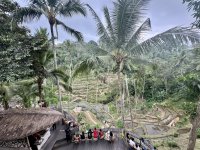 IMG_0661-compressed.jpg IMG_0661-compressed.jpg