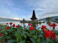 IMG_0703-compressed.jpg IMG_0703-compressed.jpg