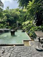 IMG_0911-compressed.jpg IMG_0911-compressed.jpg