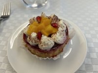 IMG_1581.jpeg IMG_1581.jpeg