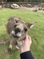 IMG_2216.jpeg IMG_2216.jpeg