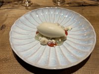 IMG_8123.jpeg