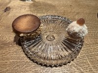 IMG_8127.jpeg