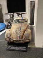 IMG_7565.JPG
