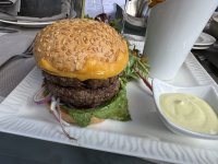 IMG_6731.jpeg