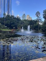 IMG_2509.jpeg IMG_2509.jpeg