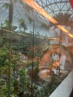 IMG_2989.jpeg IMG_2989.jpeg