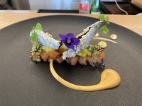 IMG_7771.jpeg