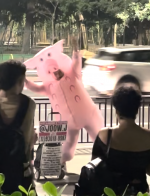 schwein2.png