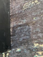 IMG_5491.jpg
