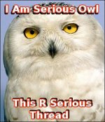 SeriousOwl_SeriousThread.jpg