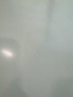 IMG_0426.jpeg