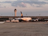 IMG_0495.JPEG IMG_0495.JPEG