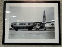 IMG_0507.JPEG IMG_0507.JPEG