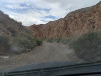 IMG_20240506_124905.jpg IMG_20240506_124905.jpg