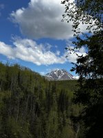 IMG_0238.jpeg