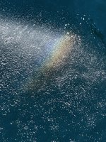 IMG_0358.jpeg