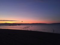IMG_7762.jpeg