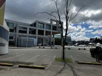 IMG_1025.jpeg