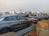 50_byd_1.jpg 50_byd_1.jpg