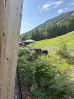 IMG_1647.jpeg