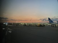 IMG_7382.jpeg
