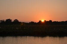 DSC_0075.jpg