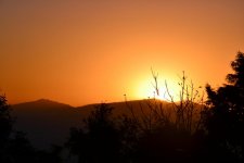 DSC_0512.jpg