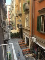 IMG_9809.jpeg IMG_9809.jpeg