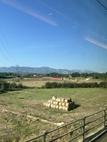 IMG_9873.jpeg IMG_9873.jpeg