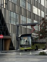 IMG_1698.JPG IMG_1698.JPG