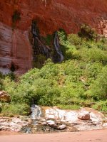 DSCN0107.jpg