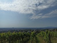 03_wilhelminenberg_2.jpg 03_wilhelminenberg_2.jpg