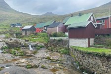 1730568958517.jpeg 1730568958517.jpeg