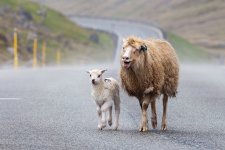 1730573616636.jpeg 1730573616636.jpeg