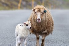 1730573640321.jpeg 1730573640321.jpeg