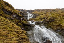 1730576675428.jpeg 1730576675428.jpeg