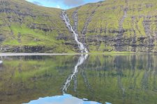 1730580922391.jpeg 1730580922391.jpeg