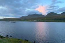 1730580942766.jpeg 1730580942766.jpeg