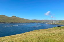 1730587920260.jpeg 1730587920260.jpeg