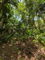 Fond Ferdinand Nationalpark.jpg