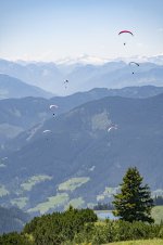 06_gleitschirmflieger_1.jpg 06_gleitschirmflieger_1.jpg