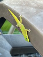 IMG_1376.jpeg IMG_1376.jpeg