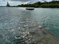 IMG_1388.jpeg IMG_1388.jpeg