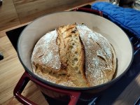 brot_nov2024_1.jpeg